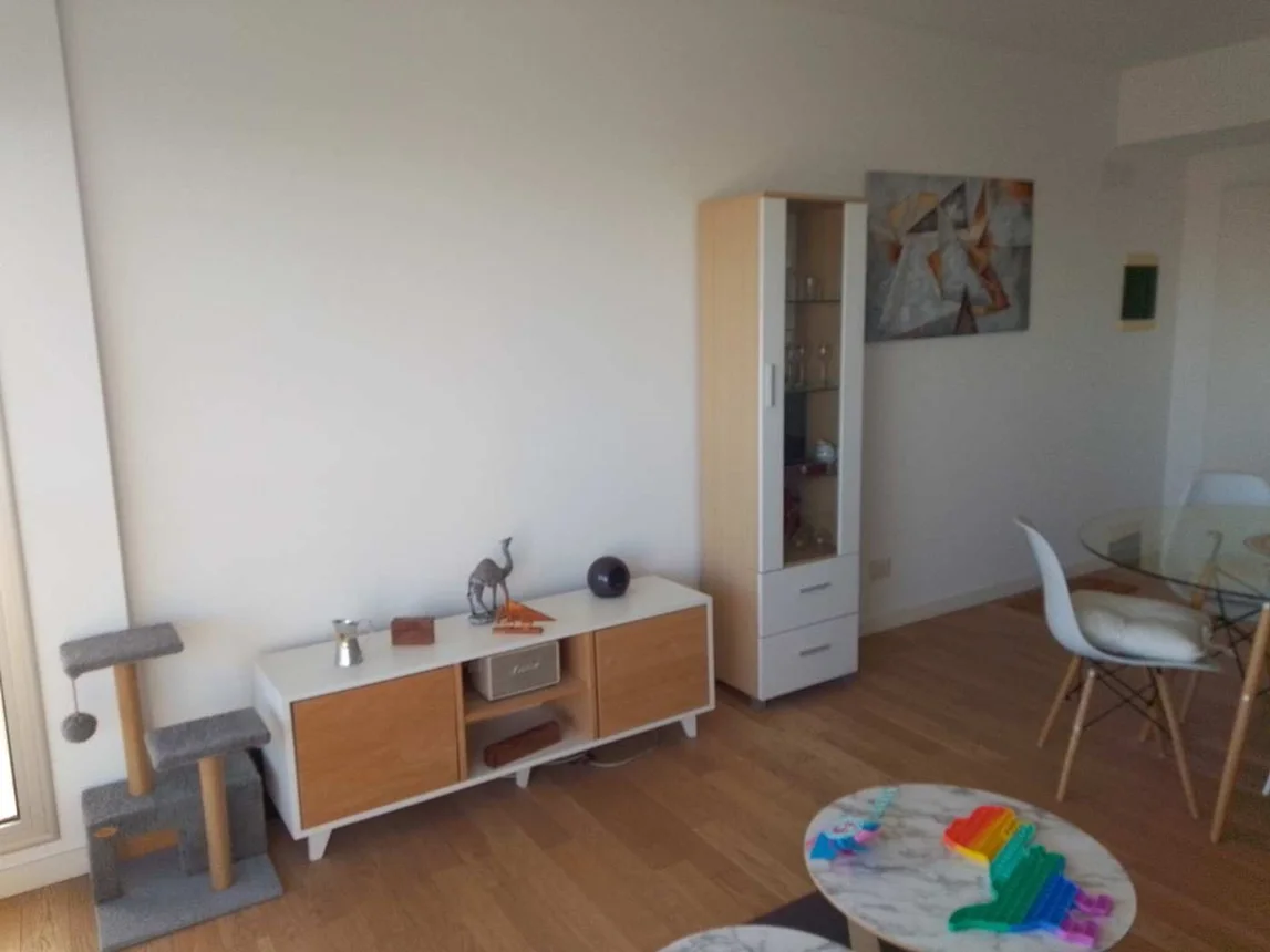 Departamento de 2 ambientes en venta en Tigre, Solís 0, foto 3