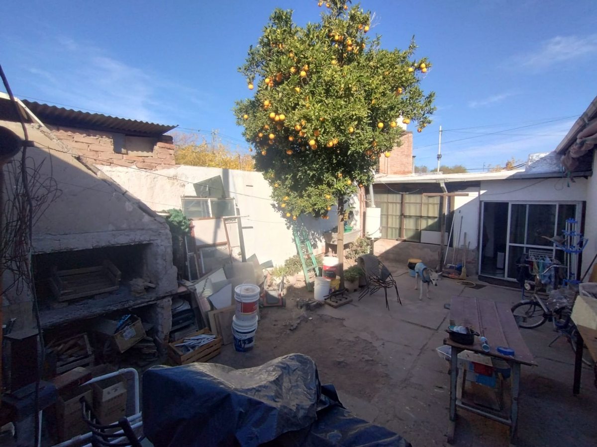 Imagen 20