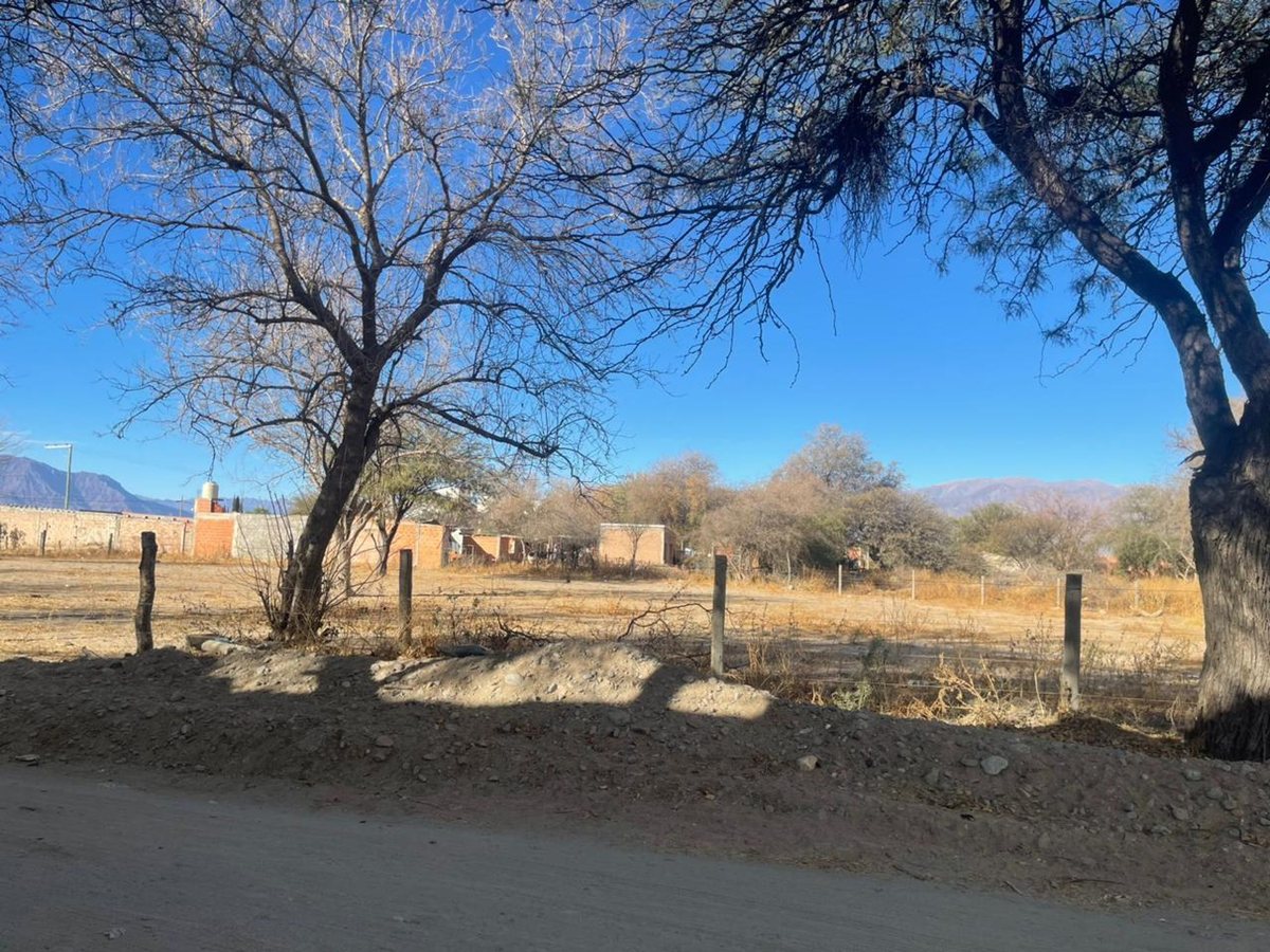 TERRENO VENTA CAFAYATE 604 M2 - foto 3
