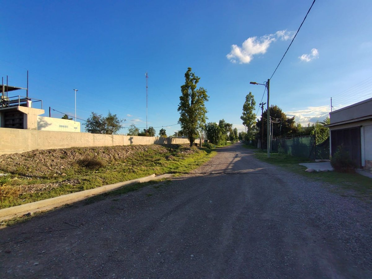 Imagen 6