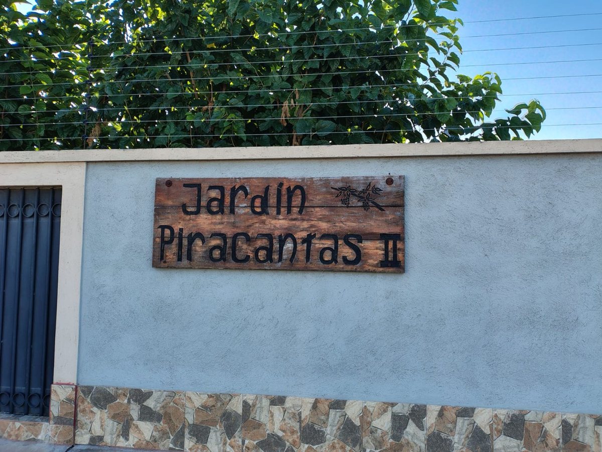 Imagen 3