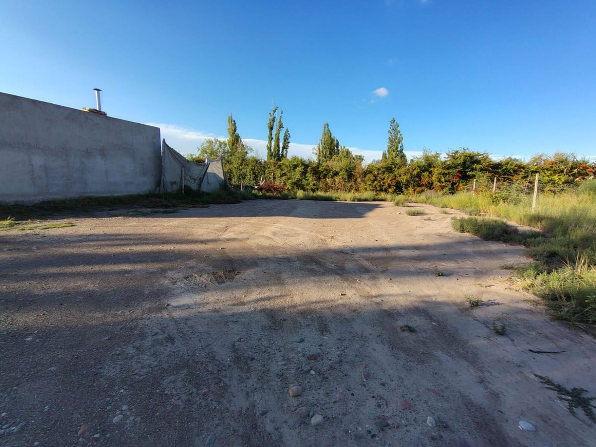 Imagen 18