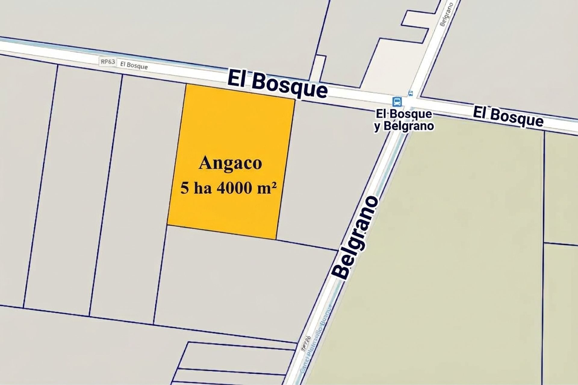 Imagen 2