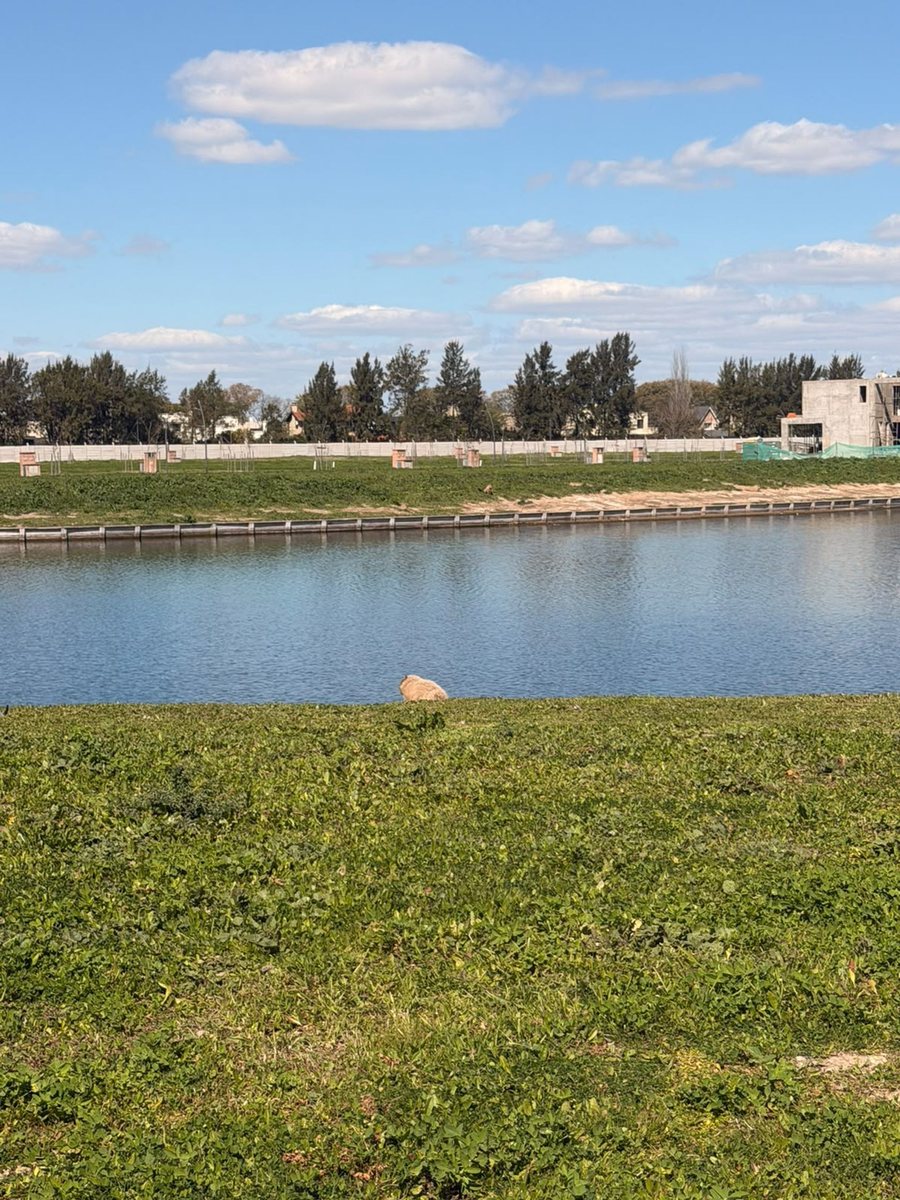 VENTA LOTE SILVESTRE NORDELTA CON FINANCIACIÓN